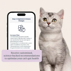 Kitty Biome At-Home Kit Gut Microbiome Test for Cats