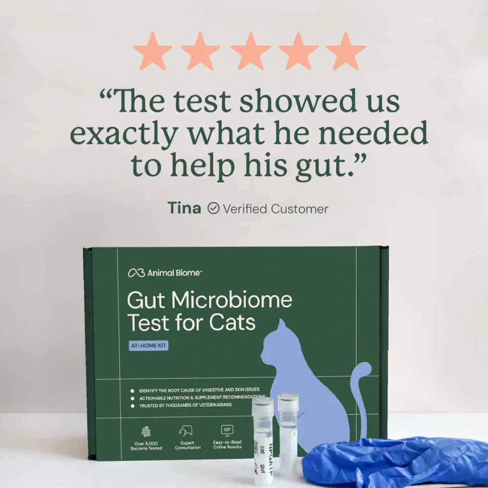 Kitty Biome At-Home Kit Gut Microbiome Test for Cats