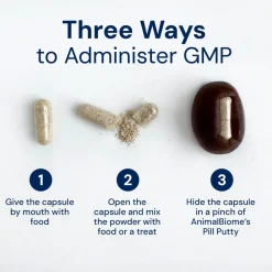 Kitty Biome GMP Gut Maintenance Plus Triple Action for Cats, 60 small capsules