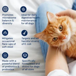 Kitty Biome GMP Gut Maintenance Plus Triple Action for Cats, 60 small capsules