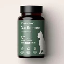 Kitty Biome Gut Restore Supplement FMT Capsules for Cats