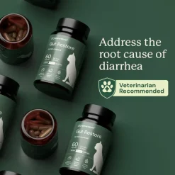 Kitty Biome Gut Restore Supplement FMT Capsules for Cats