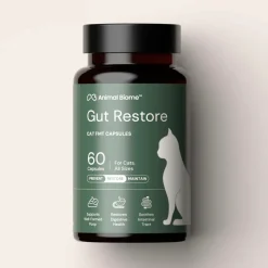Kitty Biome Gut Restore Supplement FMT Capsules for Cats