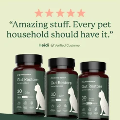 Kitty Biome Gut Restore Supplement FMT Capsules for Cats