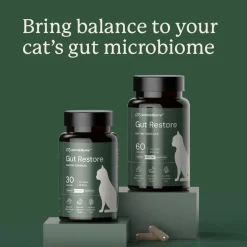 Kitty Biome Gut Restore Supplement FMT Capsules for Cats