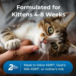 KMR 2nd Step Kitten Weaning Food (14 oz)