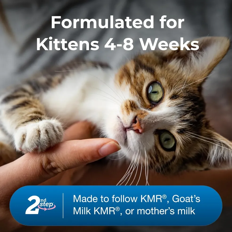 KMR 2nd Step Kitten Weaning Food (14 oz)