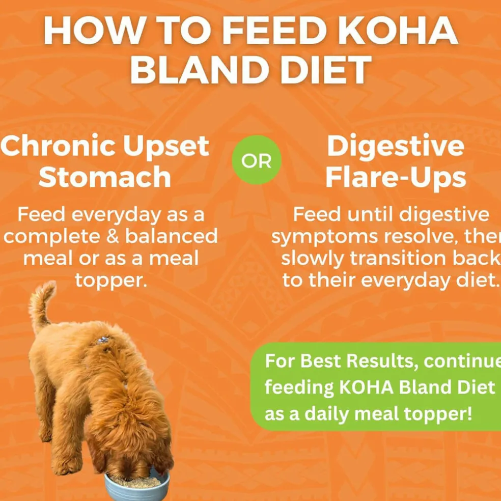 Koha Limited Ingredient Bland Diet Chicken & White Rice Recipe for Dogs, 12.5-oz (6 pack)