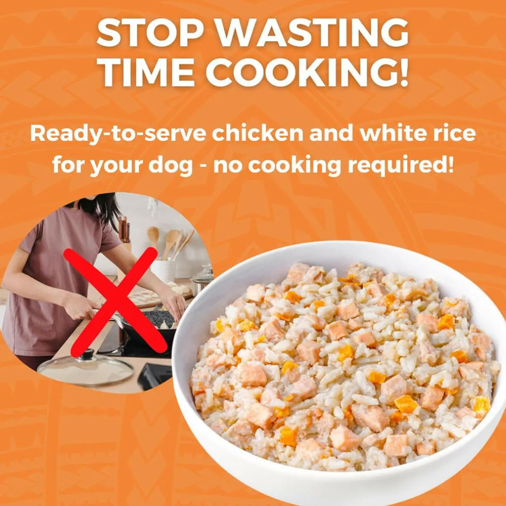 Koha Limited Ingredient Bland Diet Chicken & White Rice Recipe for Dogs, 12.5-oz (6 pack)