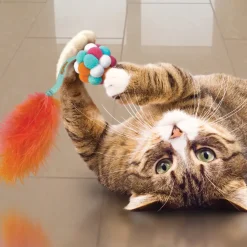 Kong Active Bubble Ball Cat Toy (Assorted Colors)