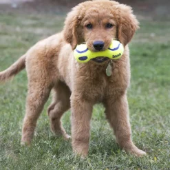 Kong AirDog Squeaker Dumbbell Dog Toy