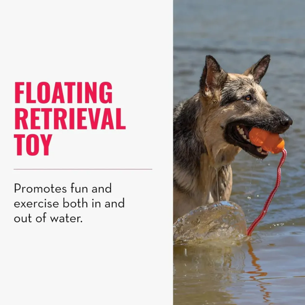 KONG Aqua Floating Dog Toy, Large