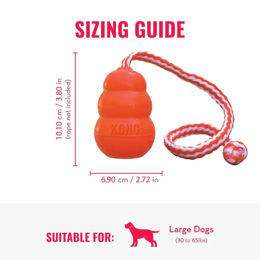KONG Aqua Floating Dog Toy, Large