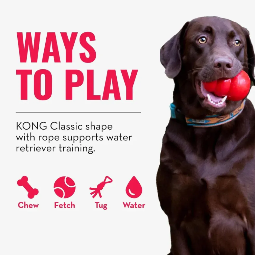 KONG Aqua Floating Dog Toy, Large