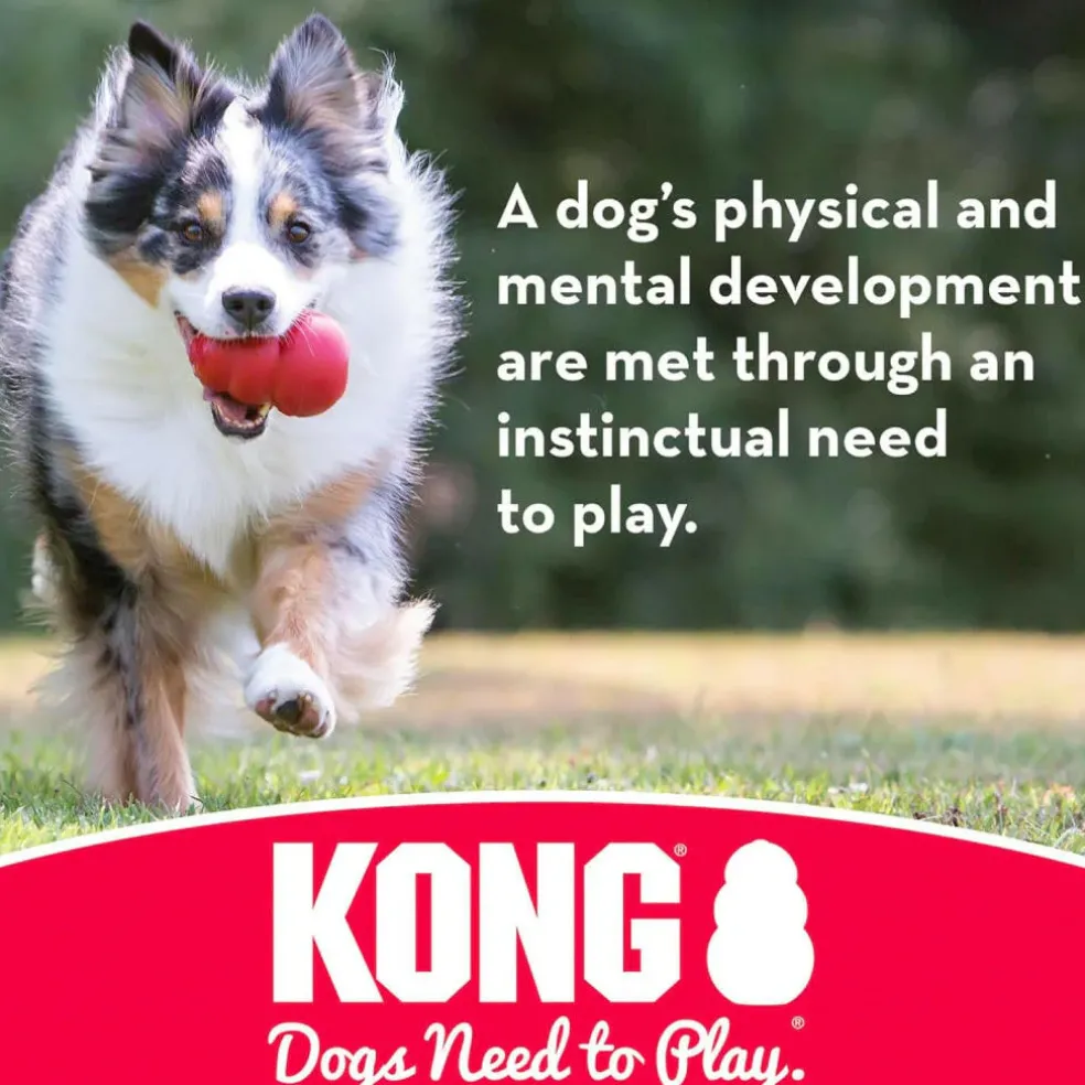 Kong Ball Fetch Toy For Dogs