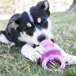 Kong Binkie Puppy Dog Chew Toy - (assorted colors)