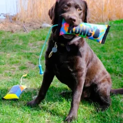 Kong Bunji High-Viz Bumper Toy For Dogs (assorted colors)