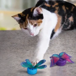 Kong Cat Active Capz Toy For Cats