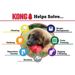 Kong Classic Toy For Dogs