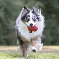 Kong Classic Toy For Dogs