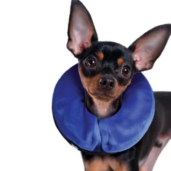 Kong Cloud Inflatable E-Collar For Dogs & Cats