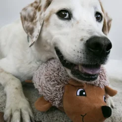 Kong Comfort HedgeHug Toy For Dogs (color varies)