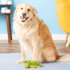 Kong Cozie Ali Alligator Squeaky Plush Toy For Dogs