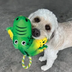 Kong Cozie Tuggz Frog Toy For Dog
