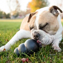 Kong Extreme Fetch & Chew Dog Toy for Aggressive Dogs