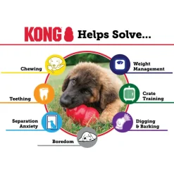 Kong Extreme Fetch & Chew Dog Toy for Aggressive Dogs