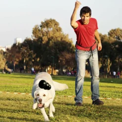 Kong Extreme Fetch & Chew Dog Toy for Aggressive Dogs