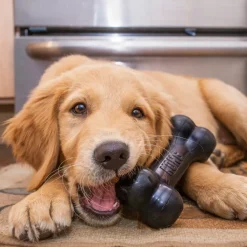 KONG Extreme Goodie Bone