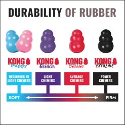 KONG Extreme Goodie Bone