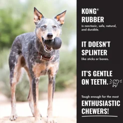KONG Extreme Goodie Bone