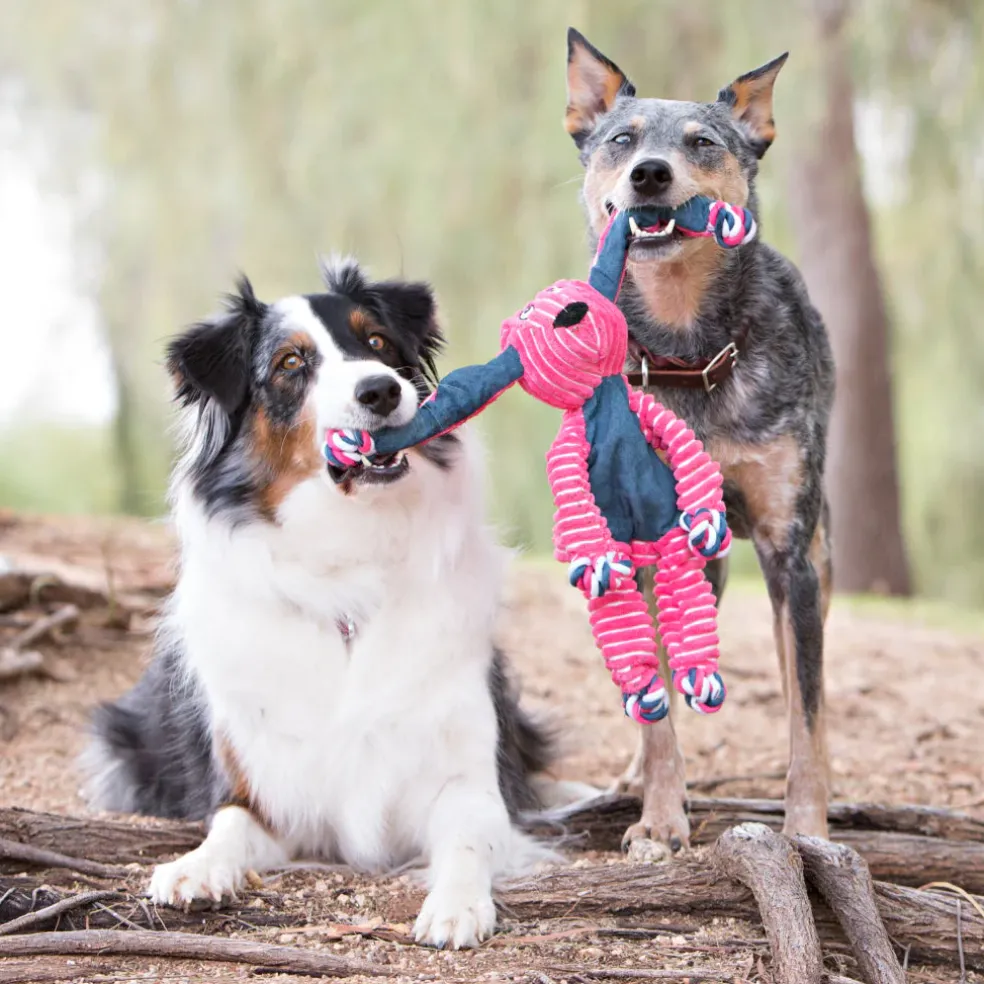 KONG Floppy Knots Elephant Toy For Dogs