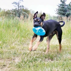 Kong Jumbler Football Toy For Dogs (color varies), Large/X-Large