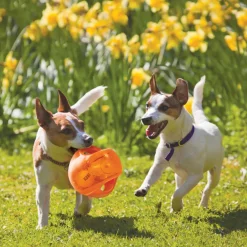 Kong Jumbler Toy Ball For Dogs (color varies)