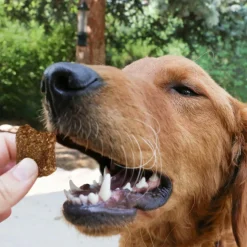 Kong Kitchen Get Quakin Grain-Free Duck & Pumpkin Treats For Dogs (5 oz)