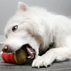 Kong Marathon Treats For Dogs, Chicken Recipe