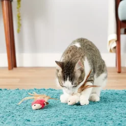 KONG Naturals Crinkle Fish Catnip Cat Toy, 2 pack