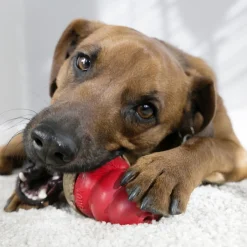 Kong Peanut Butter Marathon Treats For Dogs