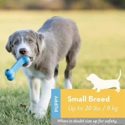 Kong Puppy Goodie Bone Chew Toy For Puppies- Small (assorted color)