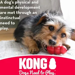 Kong Puppy Goodie Bone Chew Toy For Puppies- Small (assorted color)