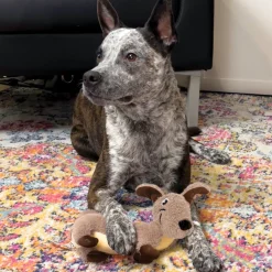 Kong PupSqueaks Tucker Toy For Dogs