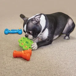 Kong Quest Wishbone Toy For Dogs (Large, assorted colors)