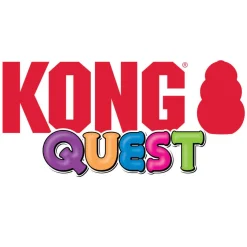 Kong Quest Wishbone Toy For Dogs (Large, assorted colors)