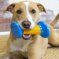 Kong Rambler Rattlez Dumbbell Toy For Dogs -Large (Orange/Blue)