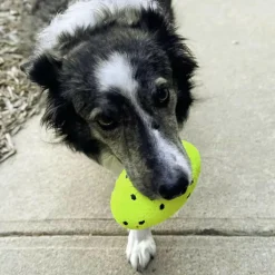 Kong Reflex Football Toy For Dog (Medium/Large)