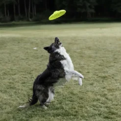 Kong Reflex Glide Flyer Toy For Dog