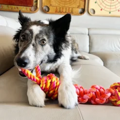 KONG Rope Bunji Dog Toy, Assorted Colors